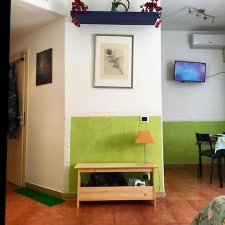 Green House *